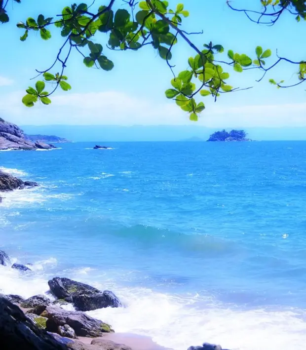 Enseada de mar verde-esmeralda entre costões e Mata Atlântica no Guarujá